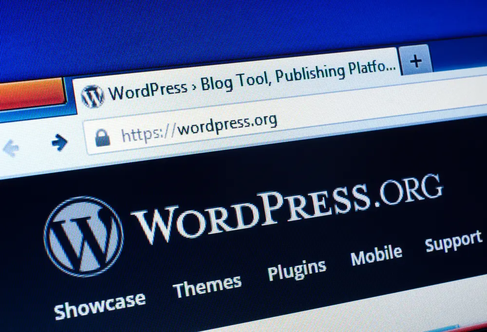 WordPress vs Webflow vs Wix Schnellseo
